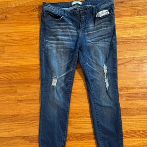 Judy blue boutique pants size 13